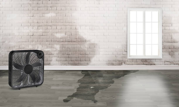 Best Sewage cleanup and water damage restoration  in Leesburg, VA