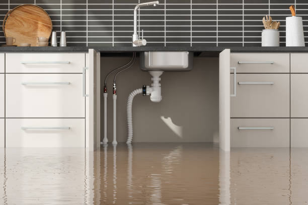 Best Water damage restoration specialists  in Leesburg, VA